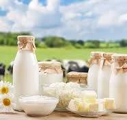 Photo of Dairy Farm with a table that has milk, cheese, butter displayed . Cows are in the background and daisies are on the table